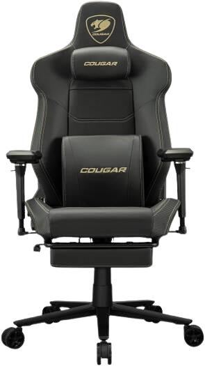 Cougar ARMOR EVO M Black/Gold Gaming Chair Image
