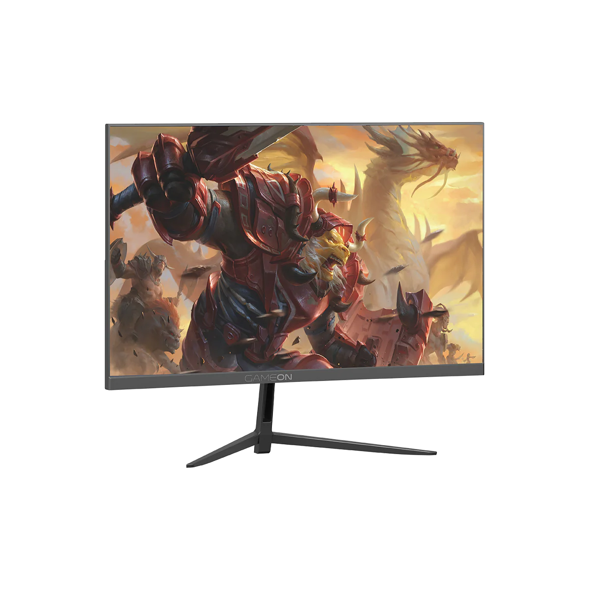 Product Gallery Image