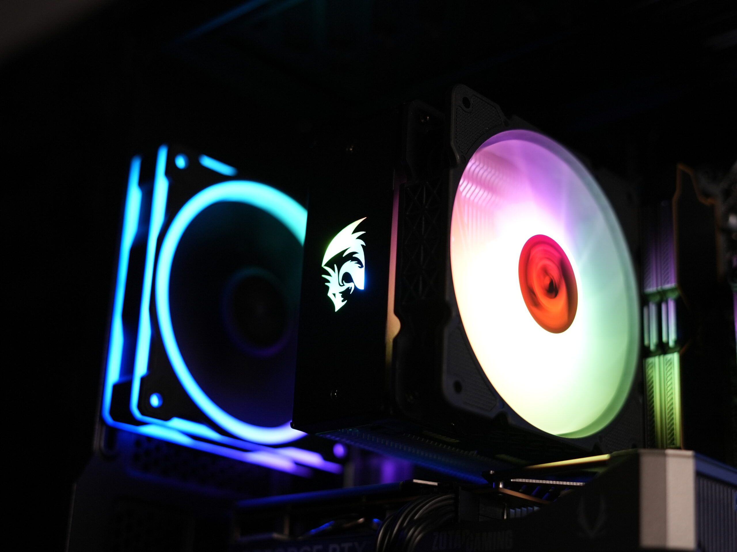 Product Gallery Image