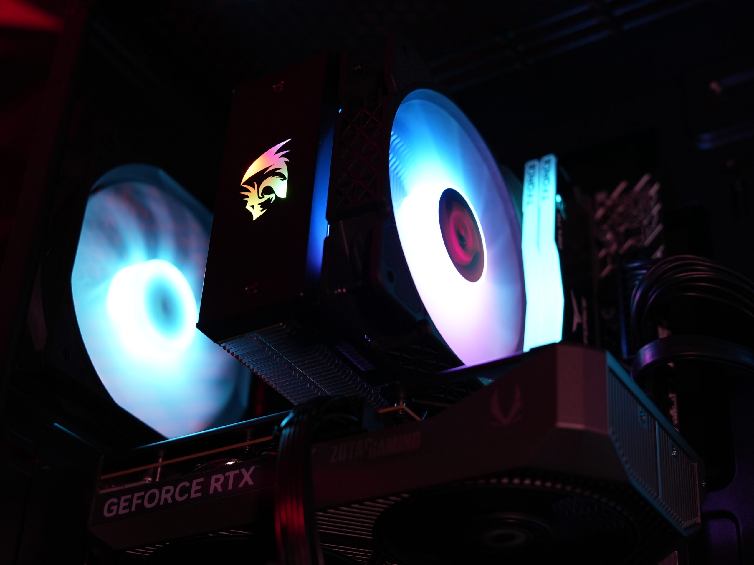 Product Gallery Image