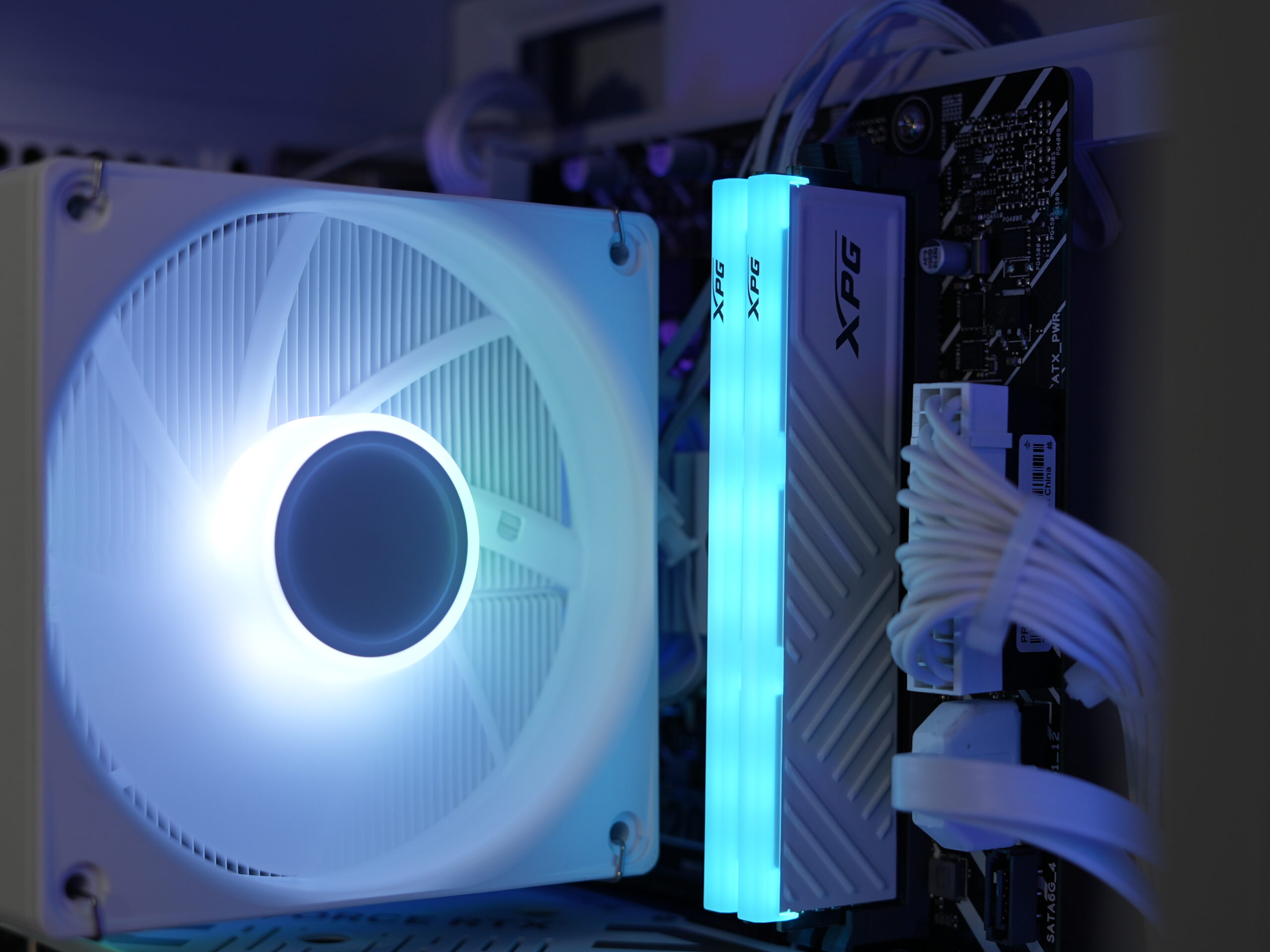 Product Gallery Image